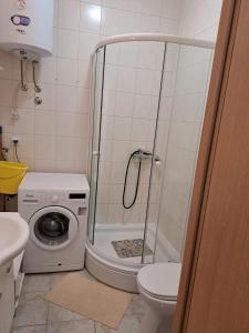 ein Bad mit einer Dusche und einer Waschmaschine in der Unterkunft Apartments Panonija in Novalja