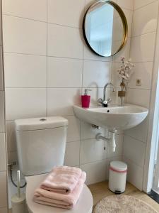 W łazience znajduje się umywalka, toaleta i lustro. w obiekcie Bed & Stay Kersenbloesem w mieście Nijswiller
