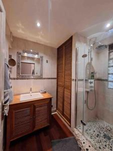 uma casa de banho com um lavatório e um chuveiro em Cosy apartment with View ! Paris 10mn by train em Bourg-la-Reine