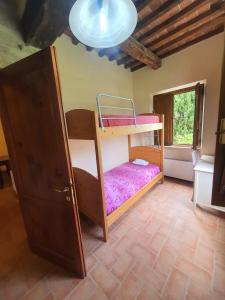 una camera con 2 letti a castello di Fattoria Il Giardo a Pietrasanta