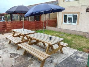 two picnic tables with umbrellas on top of them at Criw Bach Static Caravan in Bryncroes