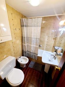 a bathroom with a toilet and a sink and a shower at Apartamento Pilartxo Zarautz in Zarautz
