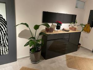 a cabinet with a tv and a plant in a room at Luxury Private holiday in Prague - all house in Drahelčice +13 photos