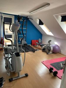 un gimnasio con varios equipos de ejercicio en una habitación en Luxury Private holiday in Prague - all house, en Drahelčice