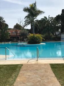 a large blue swimming pool with a palm tree in the background at Seaside condo with pool, Marbella in Estepona