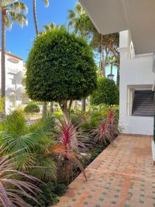 a garden with a tree and a brick walkway at Seaside condo with pool, Marbella in Estepona