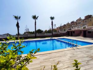 una grande piscina con palme sullo sfondo di El Bungalow de Javi a Gran Alacant