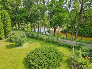 a garden with bushes and trees and a body of water at Pakrantė in Dituva