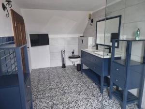 een badkamer met een blauwe wastafel en een toilet bij Luxusní apartmán s krbem - Kunratické Švýcarsko in Kunratice
