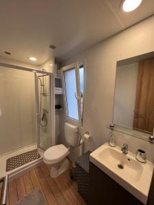 ein Bad mit einem WC, einem Waschbecken und einer Dusche in der Unterkunft Mobile House F&L in Biograd na Moru