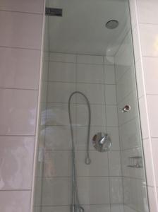 a shower with a shower head in a bathroom at Gasthof Hotel Bauer in Hersbruck