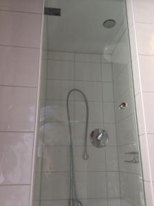 eine Dusche mit Duschkopf in einem Badezimmer in der Unterkunft Gasthof Hotel Bauer in Hersbruck