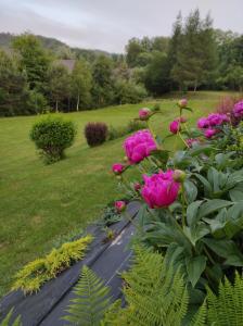Φωτογραφία από το άλμπουμ του Za potokiem σε Solina