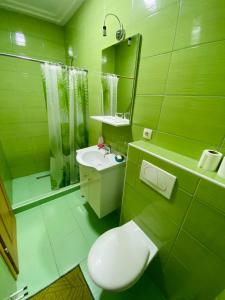 ein grünes Bad mit einem WC und einem Waschbecken in der Unterkunft Unaqua Apartments in Kulen Vakuf