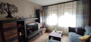 ein Wohnzimmer mit Sofa und Fernseher in der Unterkunft Ferienhaus am Marktplatz in Oberheimbach