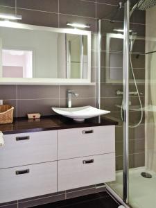 y baño con lavabo y ducha. en Annecy-le-Vieux Albigny - Proche Lac - Majord'Home, en Annecy