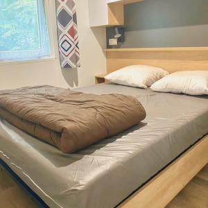 dos camas sentadas una al lado de la otra en un dormitorio en Domaine Les Acacias en La Ville-aux-Dames