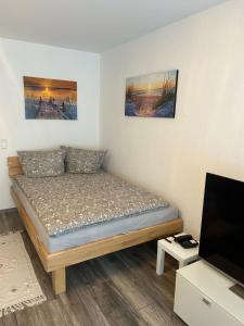 een kleine slaapkamer met een bed en een flatscreen-tv bij Gemütliches 1 Zimmer Appartement in Langelsheim