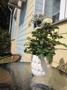 a white vase with a plant sitting on a table at PortStreet apartamenti in Liepāja