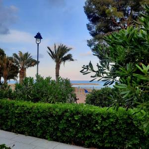 una luz de la calle junto a una playa con palmeras en Apartamento frente al mar, en Alcossebre
