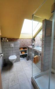 La salle de bains est pourvue d'une douche en verre et de toilettes. dans l'établissement Försters Weinterrassen, à Bad Neuenahr-Ahrweiler