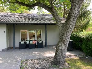 Aed väljaspool majutusasutust Diófa Vendégház