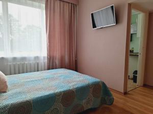 Μια τηλεόραση ή/και κέντρο ψυχαγωγίας στο Maria Apartment Tolli