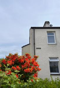 un edificio con flores rojas frente a un edificio en Loch Lomond Apartment en Alexandria