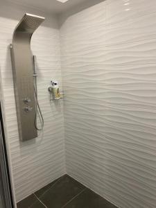 a shower stall in a bathroom with white walls at Appartement calme et nature in Saint-Jean-de-Serres