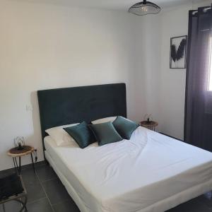 a large white bed with two blue pillows on it at Appartement calme et nature in Saint-Jean-de-Serres +8 photos