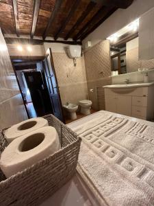 La salle de bains est pourvue de toilettes et d'un lavabo. dans l'établissement L' Antico Lavatoio, à Pitigliano