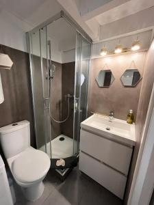 a bathroom with a shower and a toilet and a sink at Charmant duplex vue mer et étangs ! Clim / Parking in Frontignan
