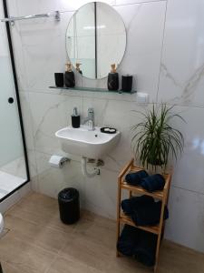 een badkamer met een wastafel, een spiegel en een plant bij AkoumiaStudio in Akoumia