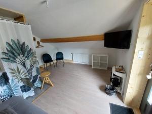 ein Wohnzimmer mit einem Flachbild-TV und Stühlen in der Unterkunft Au Bonheur Fait Maison in Saint-Maurice-sur-Moselle