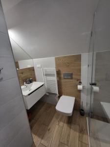 y baño con aseo, lavabo y ducha. en Apartamenty Willove Wzgórze, en Duszniki-Zdrój