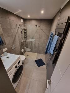 een badkamer met een douche, een toilet en een wastafel bij Angren Albatross, SEA & SPA in Ķesterciems