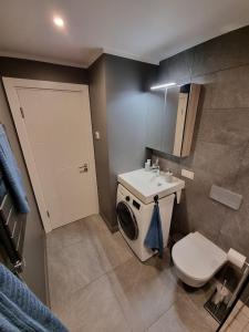 uma casa de banho com um WC, um lavatório e uma máquina de lavar roupa em Angren Albatross, SEA & SPA em Ķesterciems