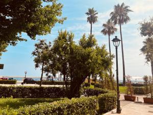 バーリにあるAdua Exclusive Suiteのヤシの木と街灯のある公園