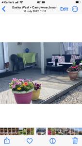 a picture of a living room with two pots of flowers at Wild Atlantic View in Sligo