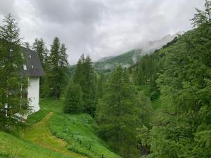 Príroda v okolí apartmánu
