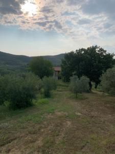 a field with trees and a house in the distance at Villa Shehu in Kuçovë