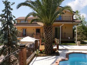 a villa with a palm tree and a swimming pool at Bed and Breakfast Villa Algi in Corropoli