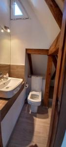 a bathroom with a white toilet and a sink at Vėtrungėlė in Nida