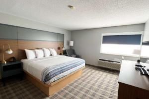 a hotel room with a bed and a window at AmericInn by Wyndham Marshfield in Marshfield