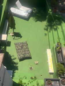 Zahrada ubytování 4 Balconi rooms Paladini B&B e appartamenti