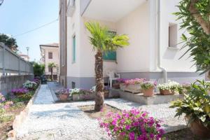 une cour avec des plantes en pot et un bâtiment dans l'établissement Villa Jadì Sottomarina, à Chioggia