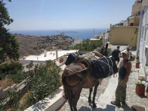 a woman standing next to a horse on a street at Philoxeno Traditional house - Ano Syros in Ano Syros