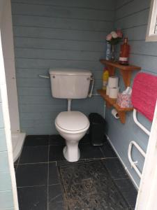 a bathroom with a toilet in a blue wall at South Wales Yurt-Cosy, log burner & private garden 