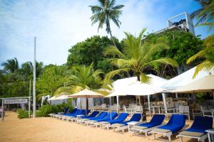 a row of chairs and umbrellas on a beach at Kingfisher in Unawatuna