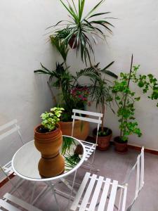 a table and chairs with potted plants on it at LA CASA DEL SOL in Pego
